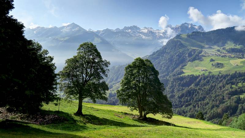 Image Wanderung Stanserhorn