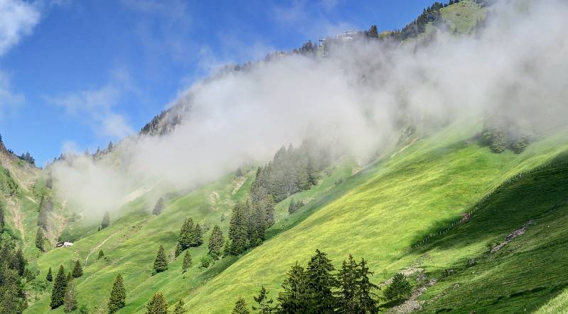 190623-Wanderung-Stanserhorn_6803_4_5