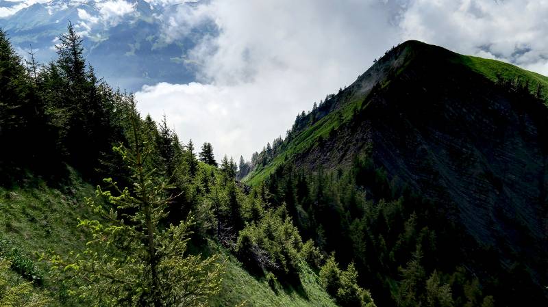 190623-Wanderung-Stanserhorn_6818_19_20