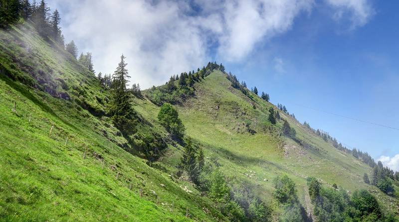 190623-Wanderung-Stanserhorn_6866_7_8