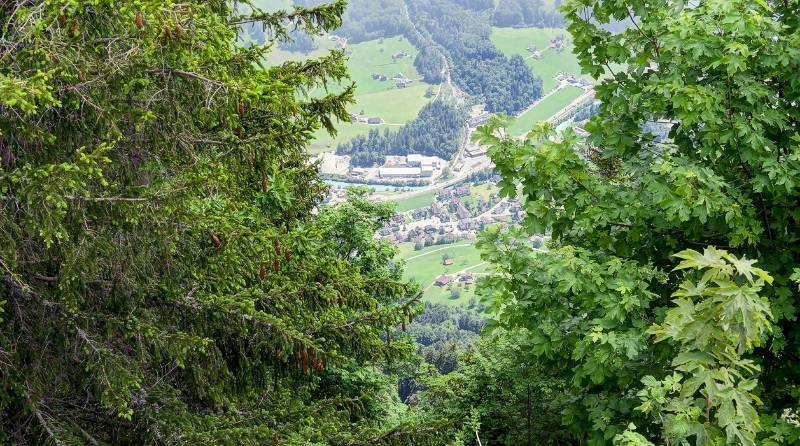 190623-Wanderung-Stanserhorn_6878_79_80