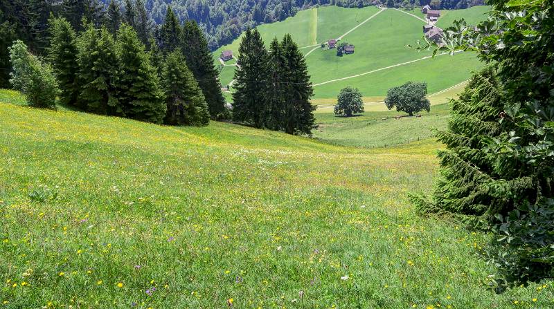 190623-Wanderung-Stanserhorn_6881_2_3