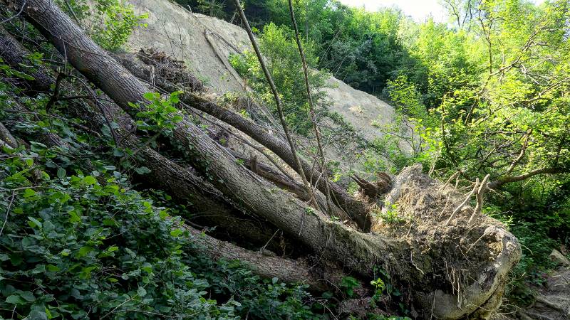 190619-Wanderung-Rheinfall-Rundweg_6680_1_2