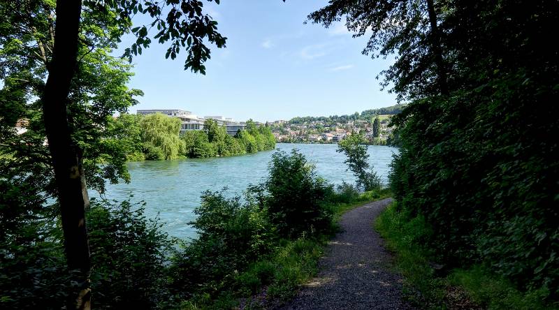 190619-Wanderung-Rheinfall-Rundweg_6683_4_5