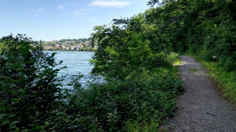 190619-Wanderung-Rheinfall-Rundweg_6686_7_8