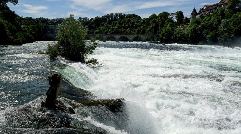 190619-Wanderung-Rheinfall-Rundweg_6722_3_4