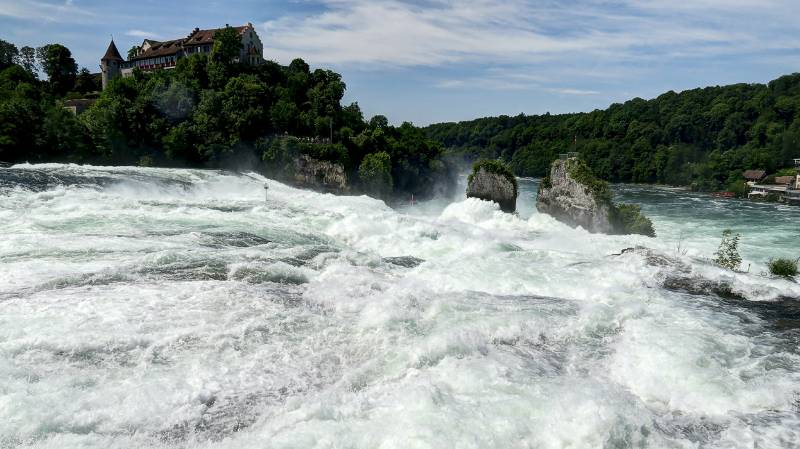 190619-Wanderung-Rheinfall-Rundweg_6725_6_7