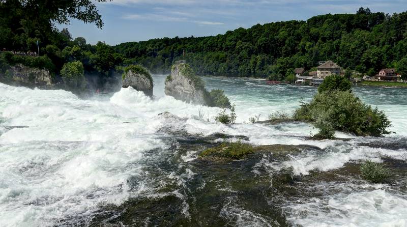 190619-Wanderung-Rheinfall-Rundweg_6731_2_3