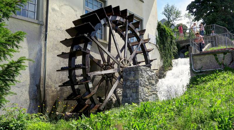 190619-Wanderung-Rheinfall-Rundweg_6743_4_5