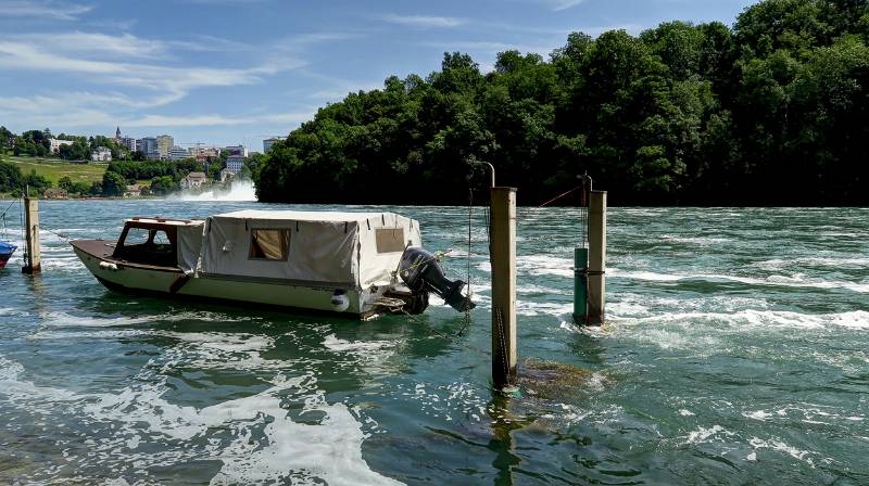 190619-Wanderung-Rheinfall-Rundweg_6782_3_4