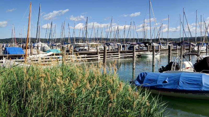 190608-Wanderung-Insel-Reichenau_6521_2_3