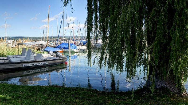 190608-Wanderung-Insel-Reichenau_6524_5_6