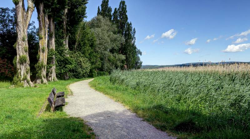 190608-Wanderung-Insel-Reichenau_6527_8_9