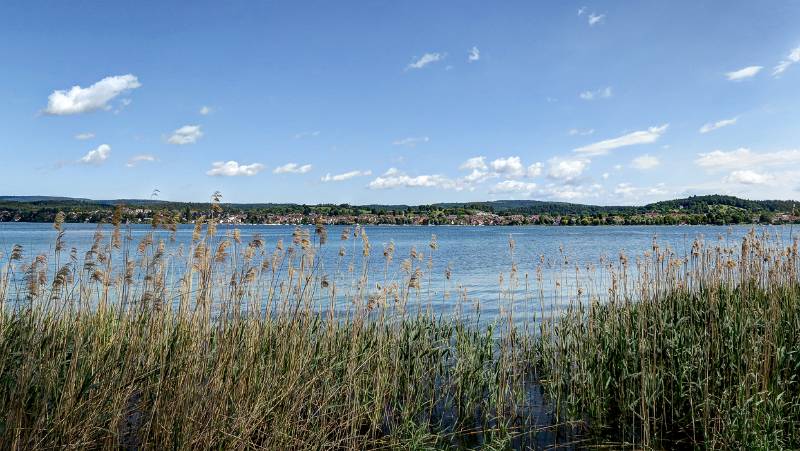 190608-Wanderung-Insel-Reichenau_6530_1_2