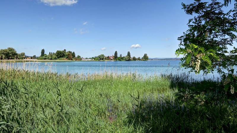 190608-Wanderung-Insel-Reichenau_6533_4_5