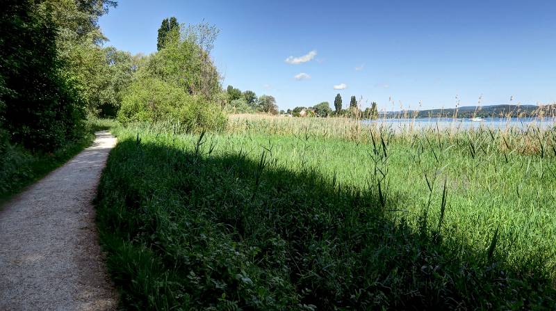 190608-Wanderung-Insel-Reichenau_6536_7_8