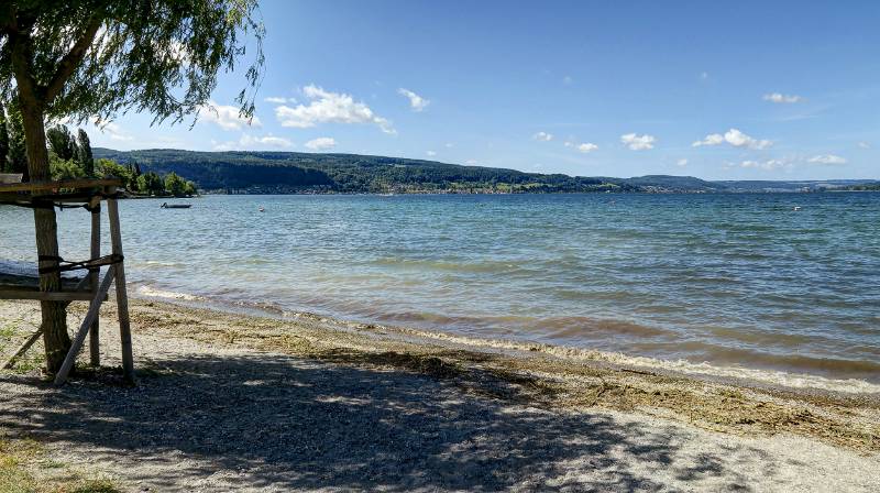 190608-Wanderung-Insel-Reichenau_6551_2_3