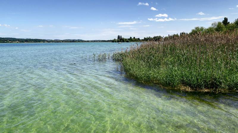 190608-Wanderung-Insel-Reichenau_6584_5_6