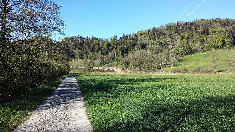 190425-Wanderung-Albishorn-Tuerlersee-085842