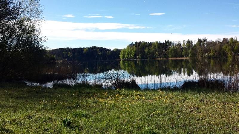 190425-Wanderung-Albishorn-Tuerlersee-090343