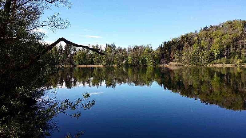 190425-Wanderung-Albishorn-Tuerlersee-090654