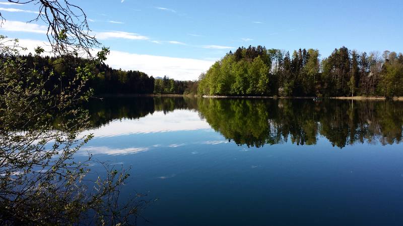 190425-Wanderung-Albishorn-Tuerlersee-091121