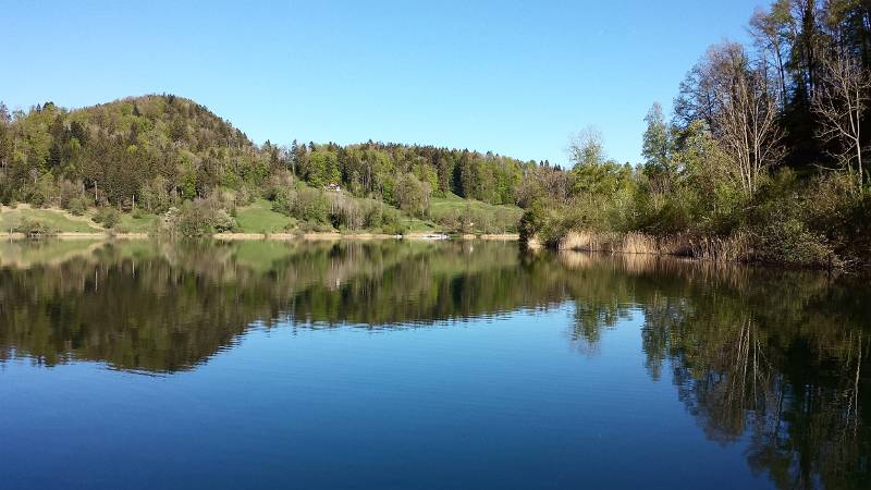 190425-Wanderung-Albishorn-Tuerlersee-091346