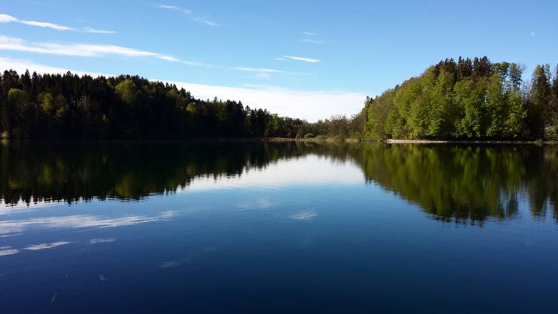 190425-Wanderung-Albishorn-Tuerlersee-091406