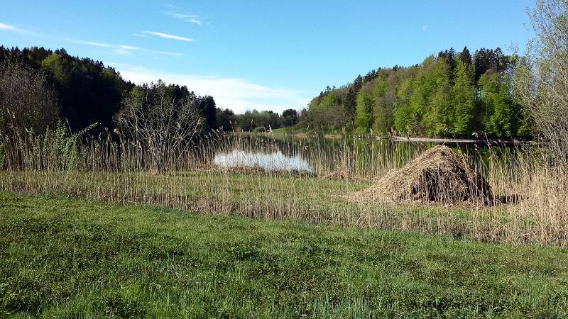 190425-Wanderung-Albishorn-Tuerlersee-091542