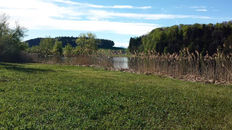 190425-Wanderung-Albishorn-Tuerlersee-091948