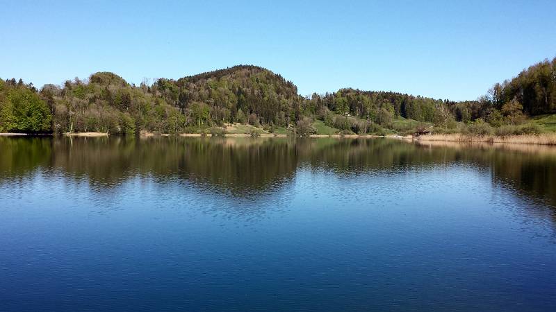 190425-Wanderung-Albishorn-Tuerlersee-092330