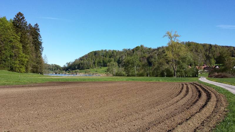 190425-Wanderung-Albishorn-Tuerlersee-094350