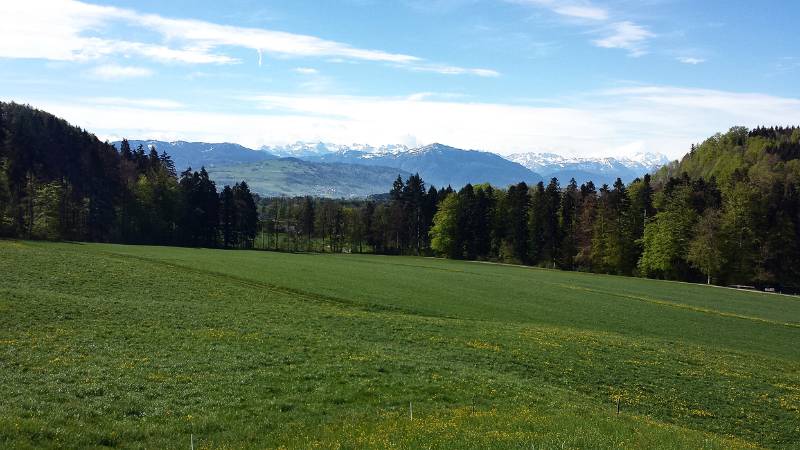 190425-Wanderung-Albishorn-Tuerlersee-101505