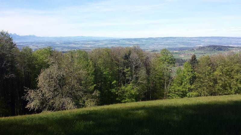 190425-Wanderung-Albishorn-Tuerlersee-105154