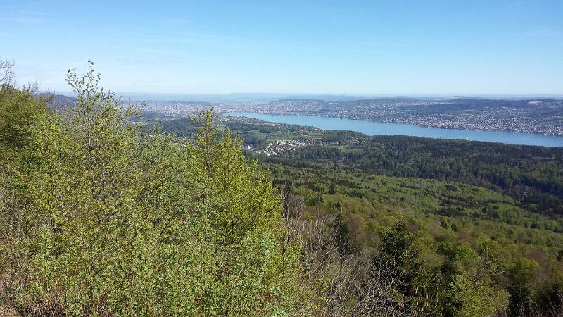 190425-Wanderung-Albishorn-Tuerlersee-110104