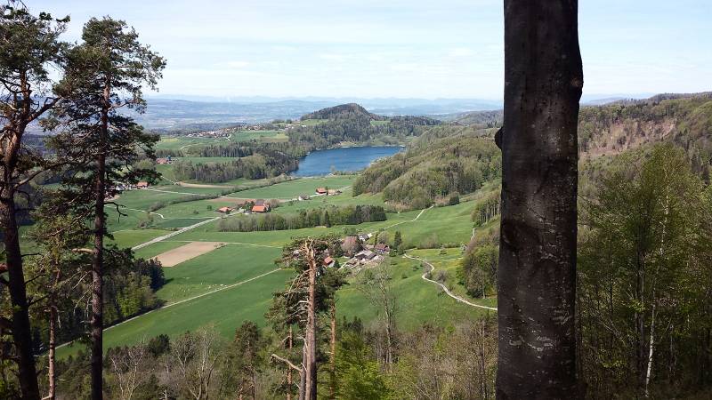 190425-Wanderung-Albishorn-Tuerlersee-113137