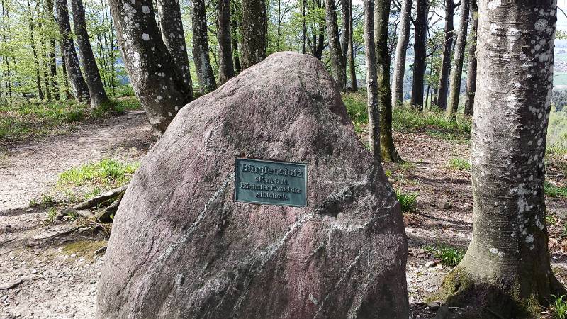 190425-Wanderung-Albishorn-Tuerlersee-113310