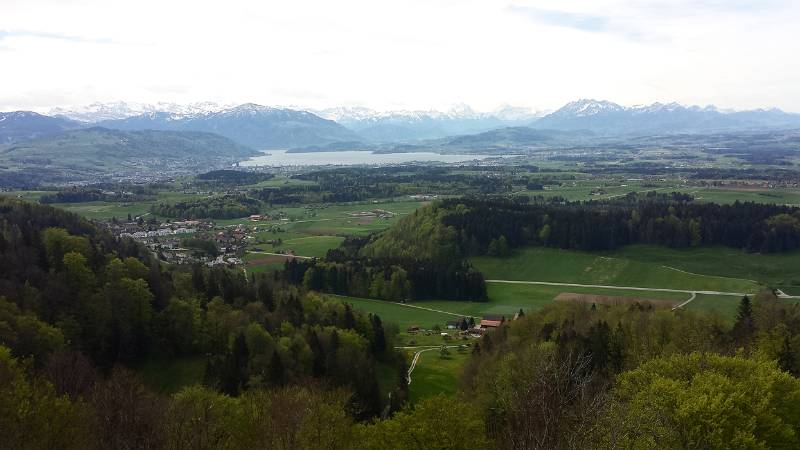 190425-Wanderung-Albishorn-Tuerlersee-120611