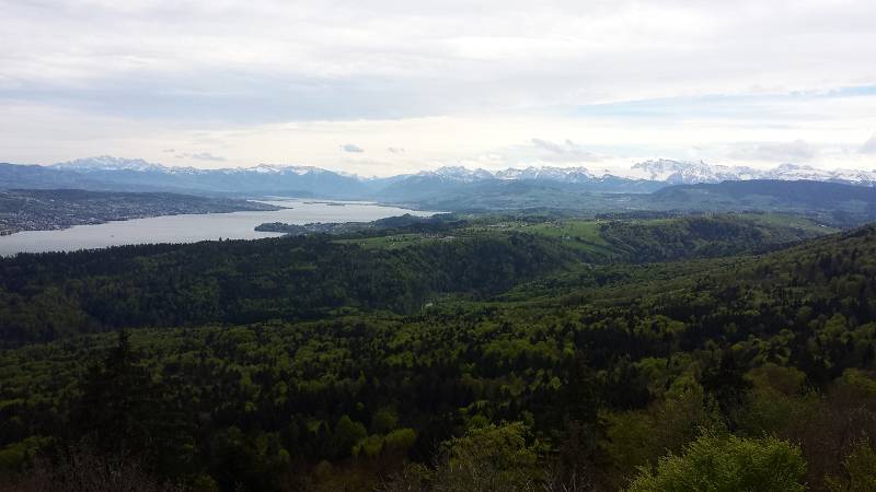 190425-Wanderung-Albishorn-Tuerlersee-120632