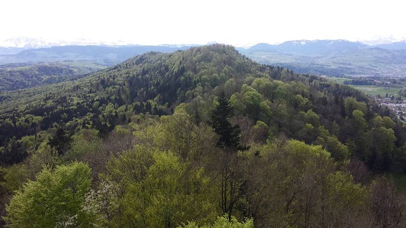 190425-Wanderung-Albishorn-Tuerlersee-120649