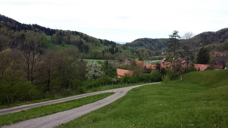 190425-Wanderung-Albishorn-Tuerlersee-130832