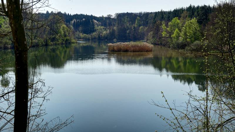 190419-Wanderung-Flachsee_6185_6_7