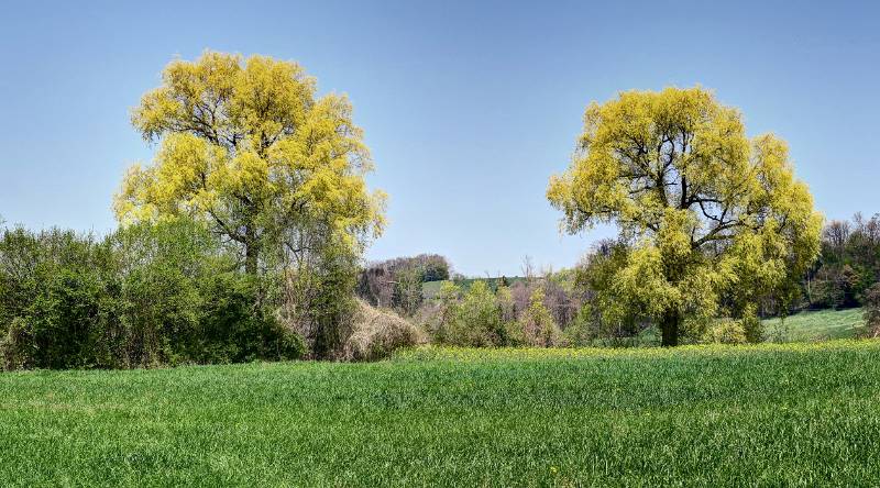 190419-Wanderung-Flachsee_6221_2_3