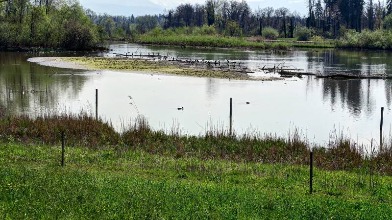 190419-Wanderung-Flachsee_6224_5_6