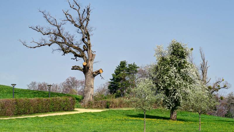 190412-Wanderung-Schloss-Wildenstein_6155_6_7