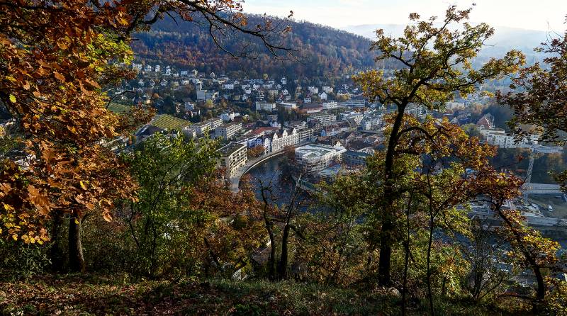 Blick durch herbstliche Bäume auf Limmat in Baden