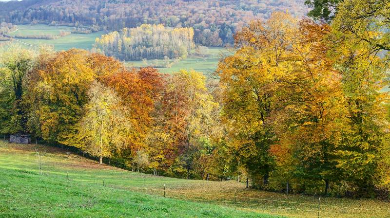 Schöne Zeit von prächtigen Farben