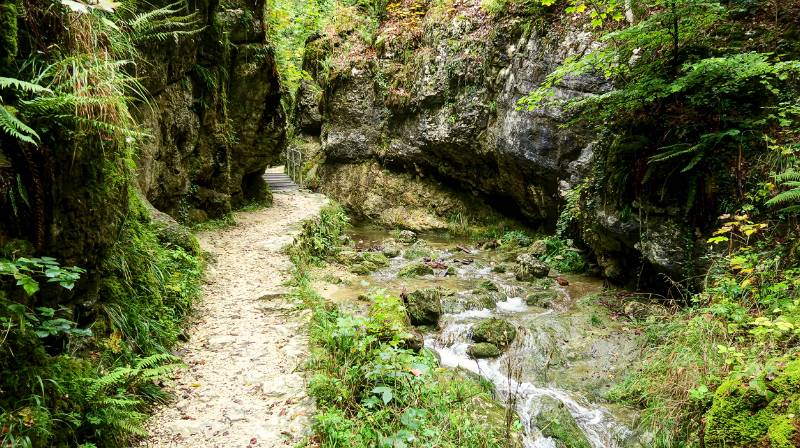 Schmale, schattige Tüfelsschlucht