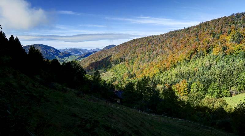 Die ersten Herbstfarben