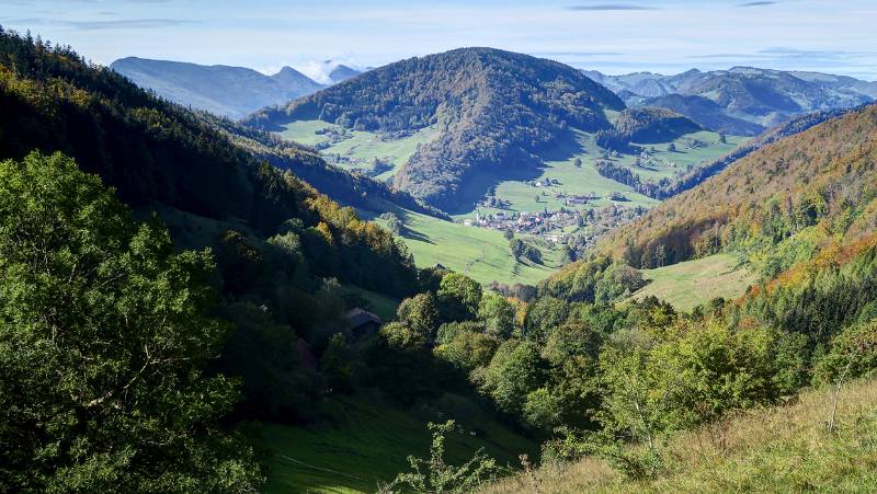 Hügel-Landschaft